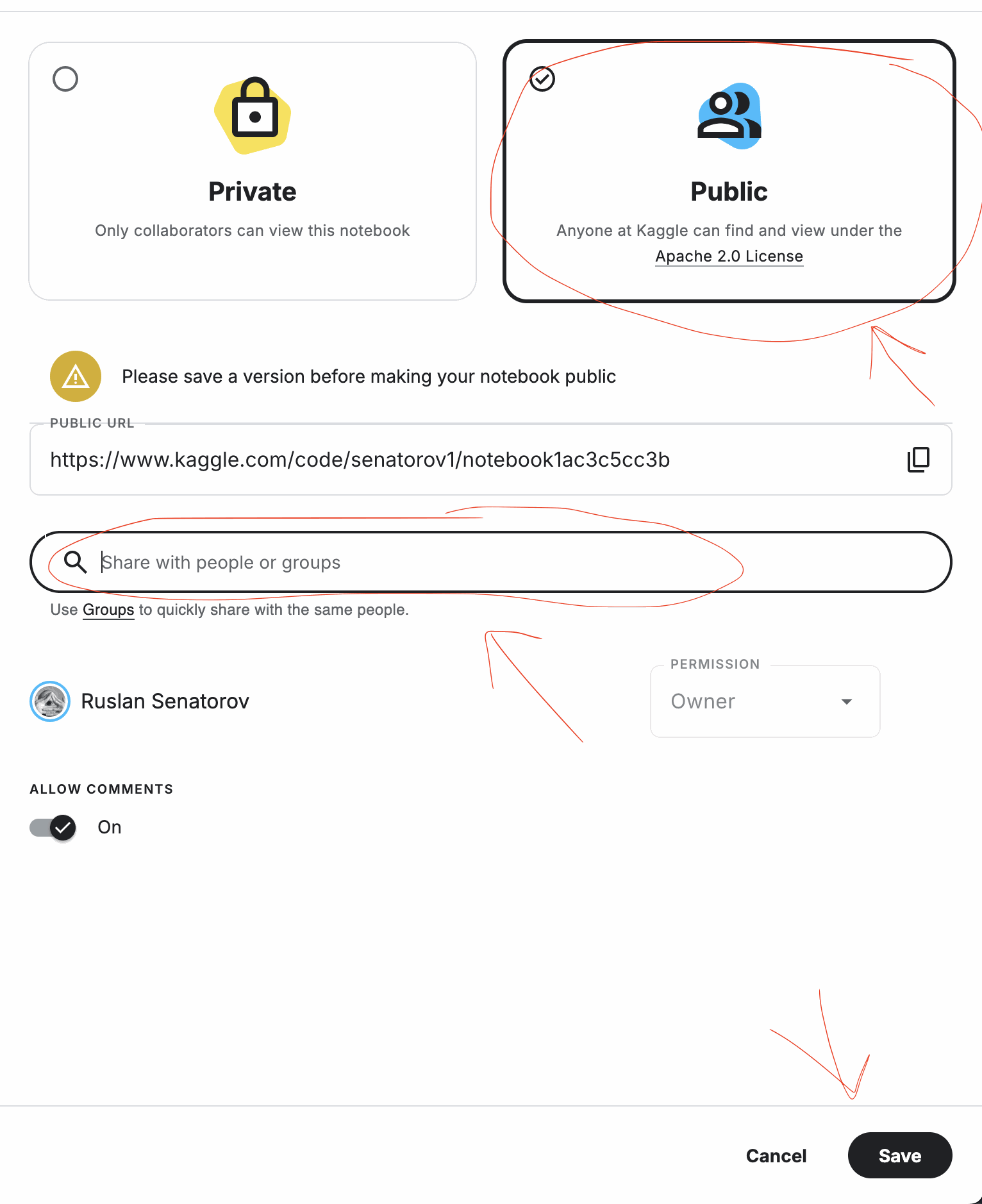Окно Share с выбранным режимом Public и кнопкой Save